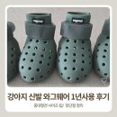 신발총판 - 강북구 노해로17길 48 | 강아지 신발추천 와그웨어 1년 사용후기 /강아지 사계절신발