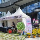 동래구청 이미지