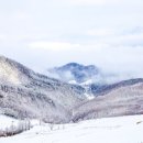 강원도 태백.매봉산.(천의봉) 1,303M68차산행 이미지