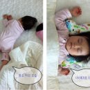 아이엠커뮤니케이션즈 | 아이엠베이비 나비베개 #2 사용기