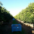 알뜰농장 이미지