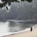 베이테라스 이미지