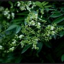 회화한의원 이미지