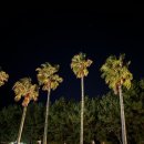 해비치리조트 | 제주도 해비치 리조트 후기