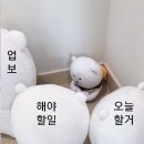 가을 어서오고🍁🍂