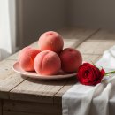 강서노인종합복지관 | AI활용 GPT 그림과 영상까지 잡터디 서울강서노인종합복지관 가빈쌤과 자격증과정