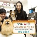 LOVE MY PET 동물병원 이미지