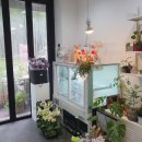 꽃;핌 | ep.13 인천 계양 더핌플라워앤케이크 웨딩촬영 소품 생화 꽃케이크, 생화 부케 주문 후기