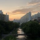 성복2로L-1 | 성복역 맛집 : 속소코다리냉면 본점 세트 후기