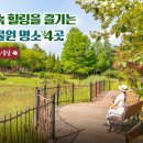 숲속 이미지