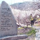 섬진강매실농원