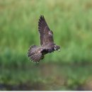 제주 물장오리오름 이미지