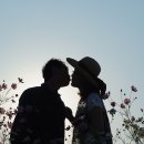 헤세드 이미지