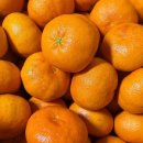 고랑몰랑 이미지