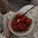 파피바스켓 | 왔구나 가을