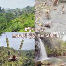 세풍농장 | 발리 우붓 첫 여행이라면 완전 추천:) 프라이빗 일일 투어 체험기