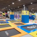 더케이 국가대표 태권도 이미지