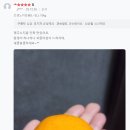 드림야채청과 | 🎄메리크리스마스~~,88청과의 첫 상품 감귤 실구매 리뷰 모음!