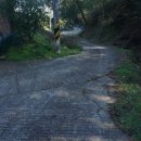 선산대로-53 이미지