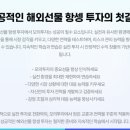 더엠THEM 네이버블로그