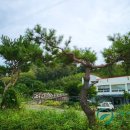 진등재 주유소 이미지