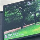 구미더원안과의원 이미지