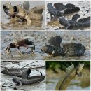 하의중학교 이미지