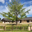 생금우물 | 생금집(금이 생기는 집) - 시흥 한옥체험