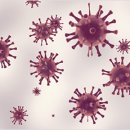 자연+인간+우연 이미지