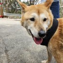 구 인신의원 뒤 공터 | 서울시당 권리당원협의체 민주서울네트워크 민서네 22대 총선 강남 3구 선거유세 2주차 지원활동 후기 1편