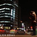 허니문결혼