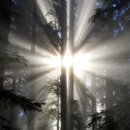 자연의숨결 이미지