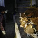 여물소 - 노원구 | 여물소