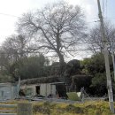 칠산마을회관 이미지