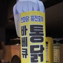 전파닭 | 청주 전기구이 통닭 맛집 봉명동 전파닭 솔직후기
