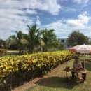 성한농장 이미지