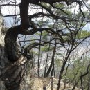 산하 LPG 충전소 | 태화산 산행