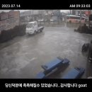 비오는날 찍힌 착한 선행.gif 이미지