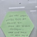 더불어함께숲 | 더불어숲 선생님들과 함께 한 3주간의 퇴근길 연수 후기