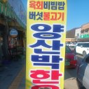 적성양산박 이미지