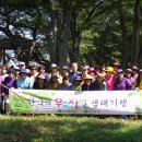 숲길 전경 이미지