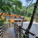 성불산 치유의 숲 이미지