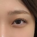 썸1당구장 | [안양역 속눈썹 내돈내산] 속눈썹 펌,연장 전문 추천 / 단하래쉬