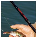 욕지바다낚시민박 이미지