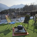 별이애견 이미지