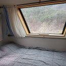 캠프라임 | 부산 근교 글램핑 캠프라임 카라반4호 재방문 후기 픽업가능