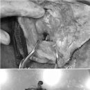 이도메디컬 이미지