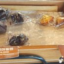 탐앤탐스강화씨사이드리조트점