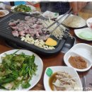 장수생오리 이미지