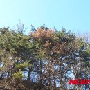 학곡3리 이미지